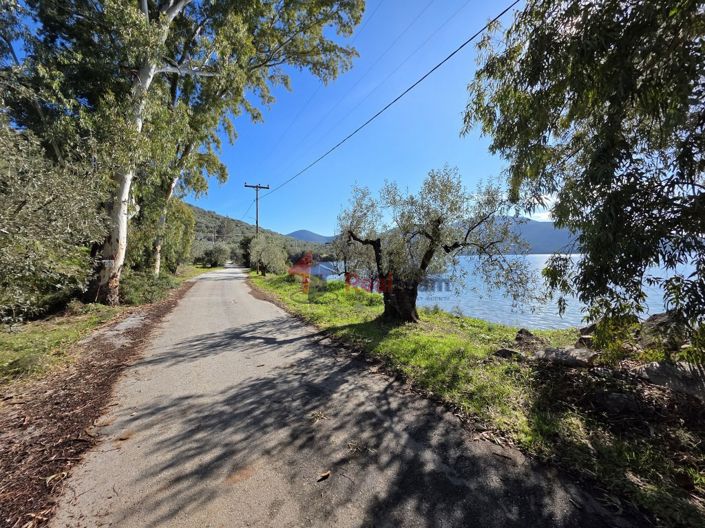 Image No.11-Property for sale