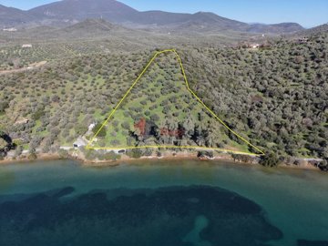 39194e7cff3f49ca917cfda9f563f48a