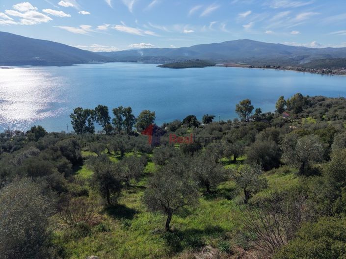 Image No.18-Property for sale