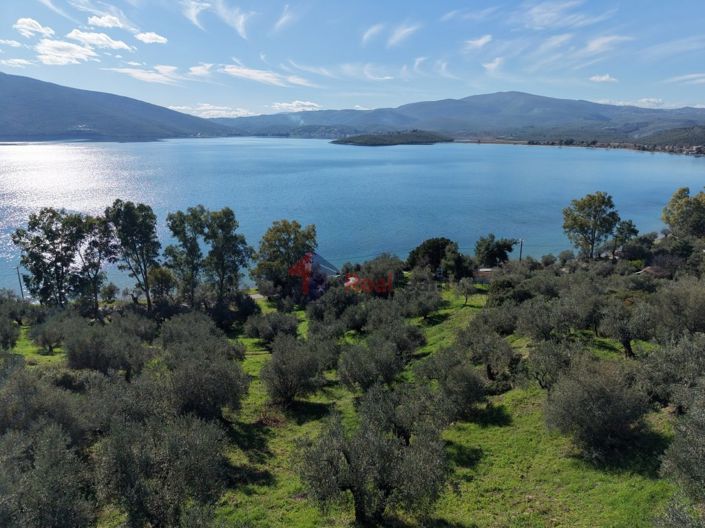 Image No.19-Property for sale