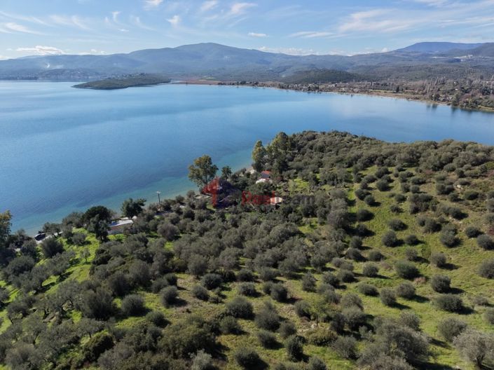 Image No.23-Property for sale