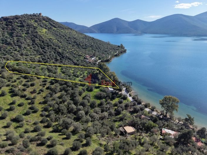 Image No.25-Property for sale