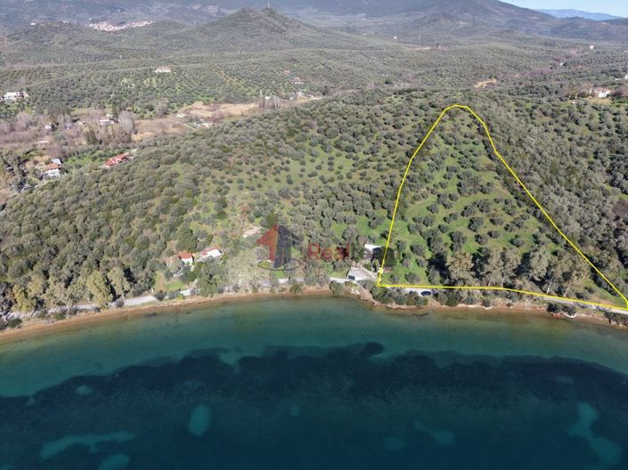 Image No.29-Property for sale