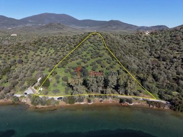 79b6420cd8f444de9a9058d26e5cf3f7