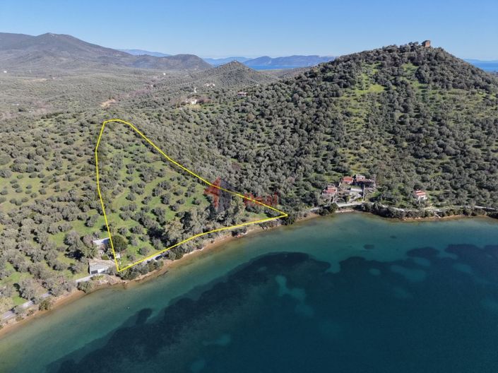 Image No.4-Property for sale