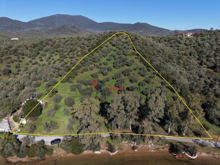 Image No.7-Property for sale