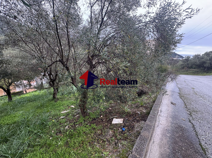 Image No.10-Propriété à vendre à Aisonia