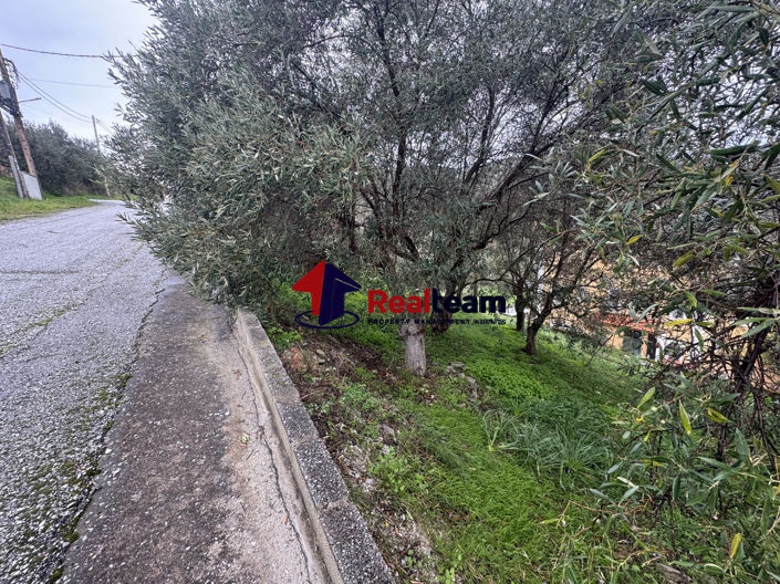 Image No.11-Propriété à vendre à Aisonia