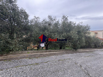 570e23710b3c48bf812393897f670603