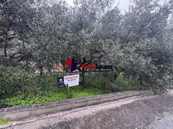 Image No.15-Propriété à vendre à Aisonia