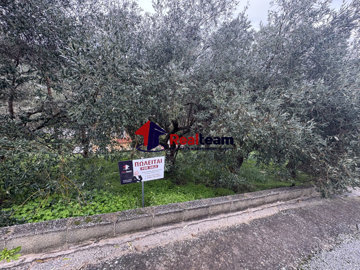 d49594b2d65b40b58f4c6412d4e70032