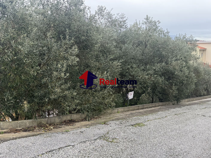 Image No.16-Propriété à vendre à Aisonia