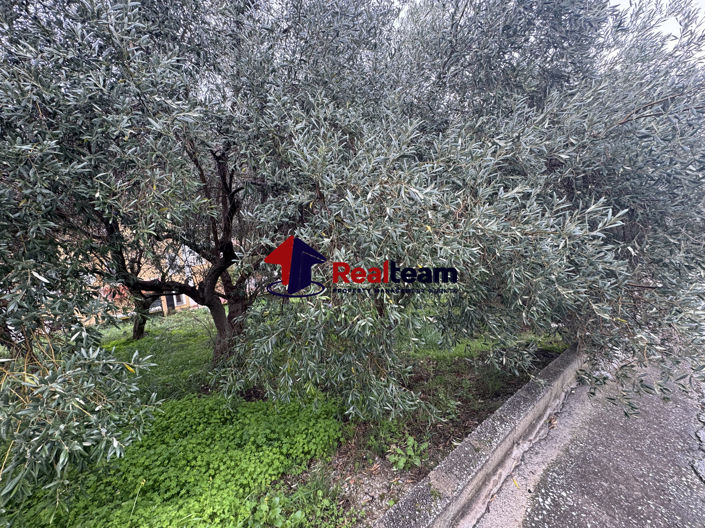 Image No.18-Propriété à vendre à Aisonia