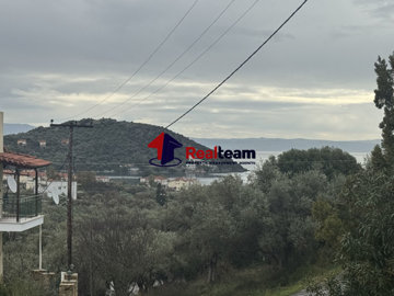 974ab8ea8b1340ebb0a58d2a5423fff1