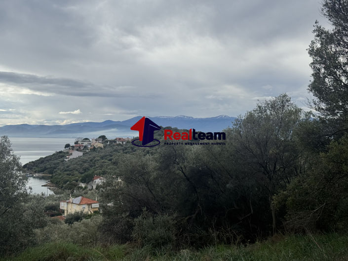 Image No.20-Propriété à vendre à Aisonia