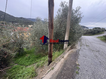 8c74ebe8758b448fbdd9049967f9a2c7