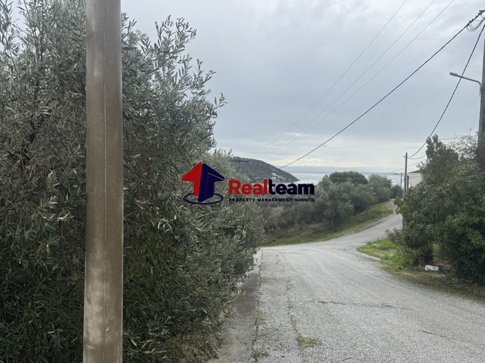 Image No.5-Propriété à vendre à Aisonia