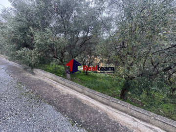 6b74a1ec0ad84b1ea029c03475142b4c