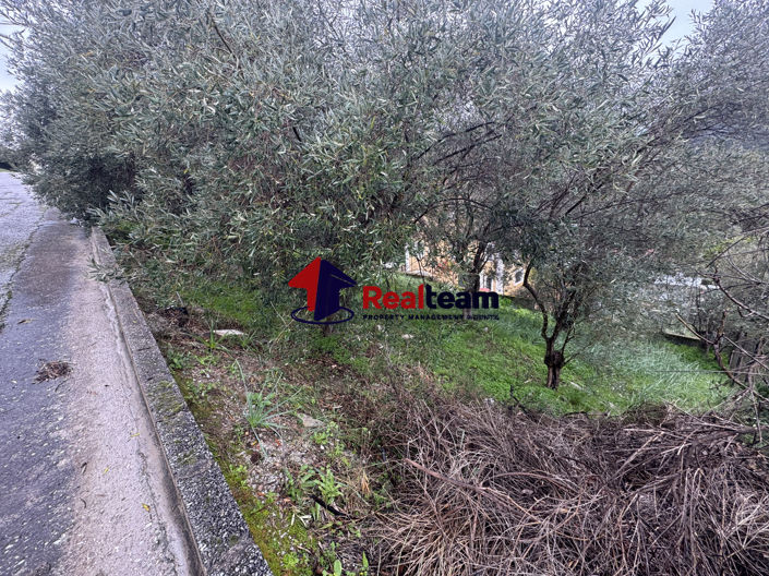 Image No.7-Propriété à vendre à Aisonia