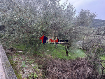 63e47ef20ae94725ad3ec61856825214