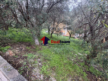 351cf980850f4c8a8d18baaec72c4e71