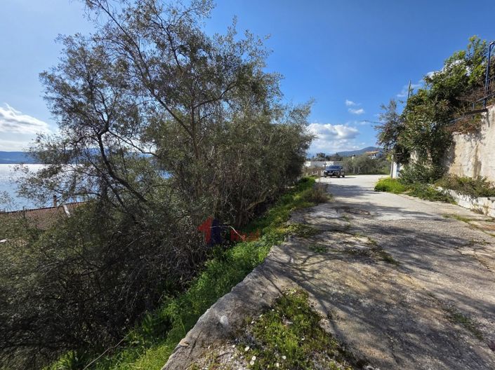 Image No.11-Property for sale