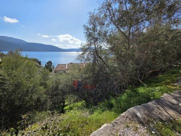 f651b2d8a66e400889dcaa1ab0f29efa