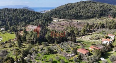 44c3fcbc22344097a91c90e63f7348c4