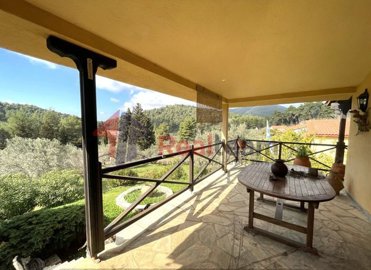 b17d534bf31949078acc425d63ac5a8d