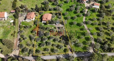 a8795a3944b240a0844a6836c28d8fb8