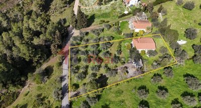 cd25061d197c44a497377d233eb3de82