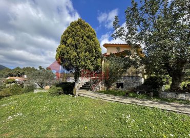 7df6fe507d54459489323af9e6cc4b95