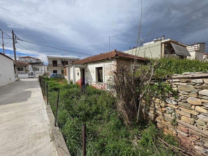 Image No.18-Propriété à vendre à Thessalie