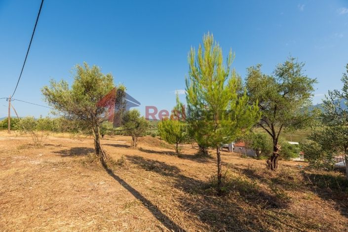 Image No.14-Property for sale