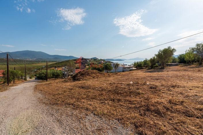 Image No.27-Property for sale