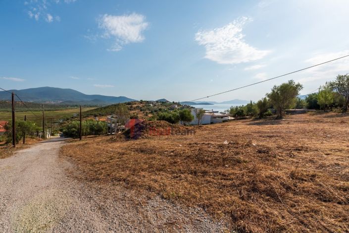 Image No.26-Property for sale