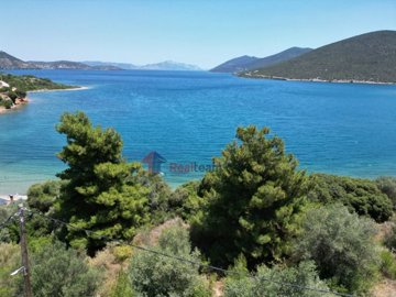 014e2c3efadb4eb89a485e8b3d436510