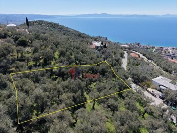 6d29d0cd51f7460eaad3946ca601eba4