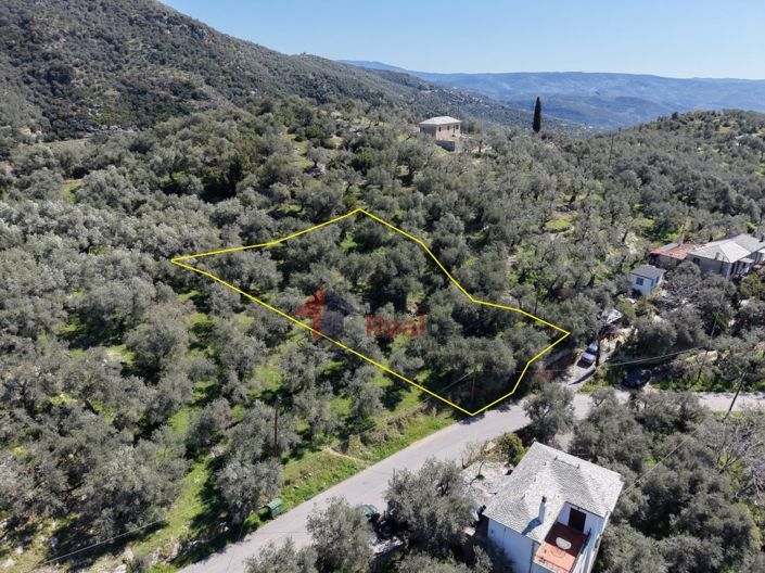 Image No.10-Property for sale