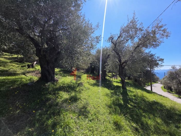 Image No.11-Property for sale