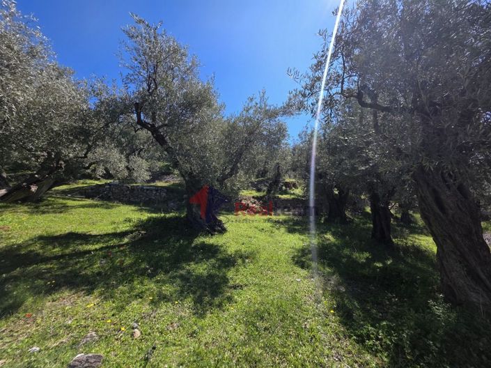 Image No.12-Property for sale