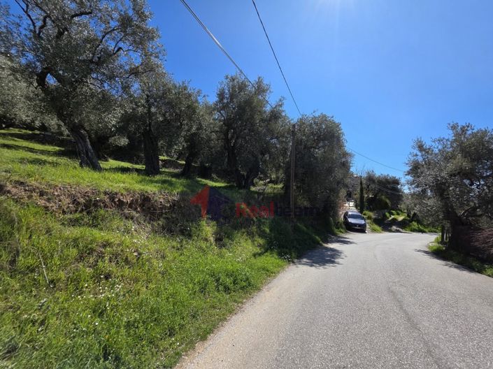 Image No.13-Property for sale