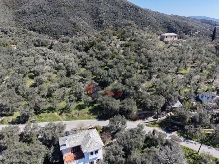 Image No.15-Property for sale