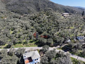 6f65bf26b56f4574ba0e8697858bd15a