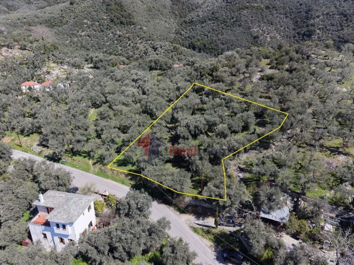 Image No.16-Property for sale