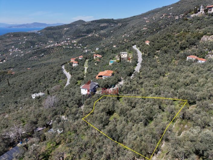 Image No.17-Property for sale