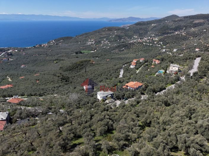 Image No.19-Property for sale