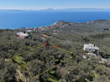 e9e97ed969b845e5a1dd6282fd6da5a8