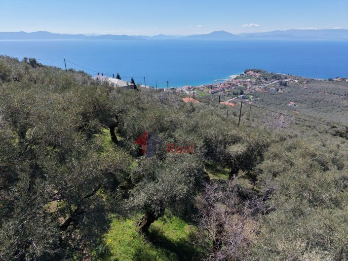 Image No.24-Property for sale