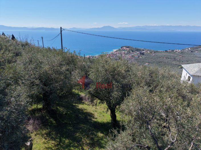 Image No.25-Property for sale